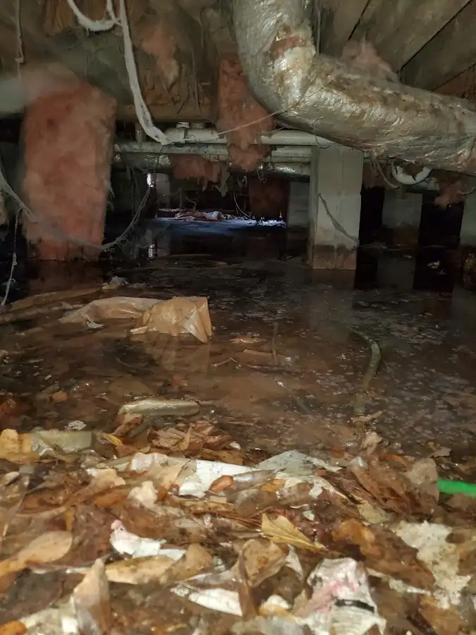 Crawl space flood assessment for Commercial Water Damage Restoration in East Moline